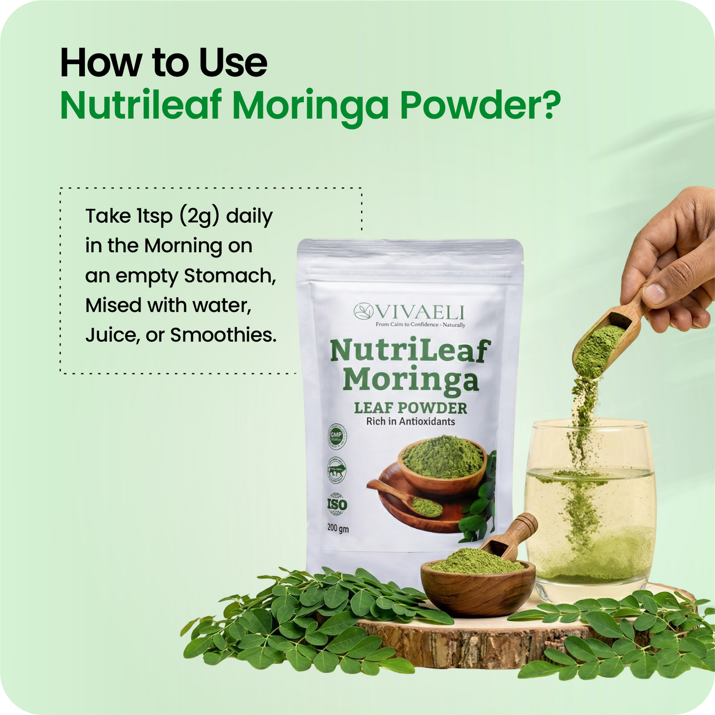 NutriLeaf Moringa Powder — Daily Energy & Complete Nutrition