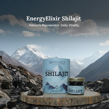 EnergyElixir Shilajit