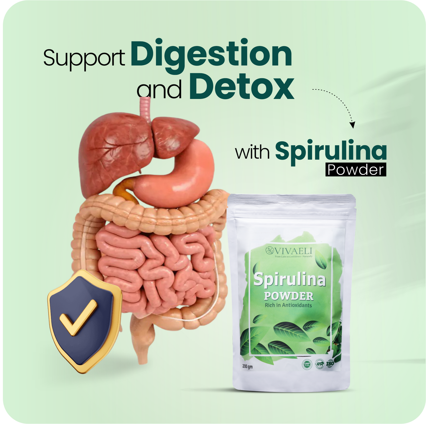 Spirulina Powder — Pure Daily Detox & Energy Superfood
